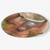 Baby Orang-Utan Verbindung Pappteller (Schrägansicht)