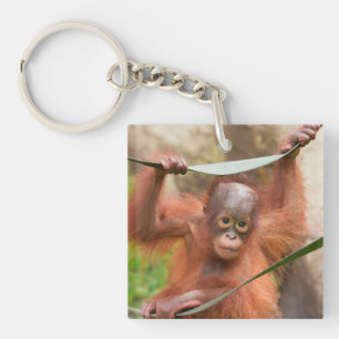 Baby Orang-Utan Verbindung Schlüsselanhänger