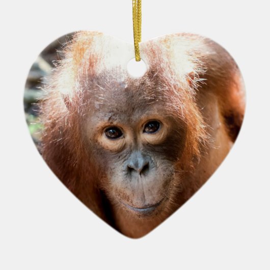 Baby-Orang-Utan Waise Kobe Keramikornament (Vorne)