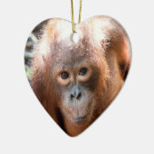 Baby-Orang-Utan Waise Kobe Keramikornament (Links)
