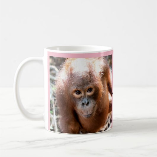Baby-Orang-Utan Waise Kobe mit OFI Kaffeetasse (Links)