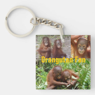 Baby-Orang-Utans in Borneo Schlüsselanhänger