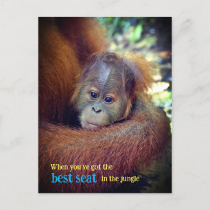 Baby Orangutan Feiertagspostkarte