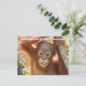 Baby Orangutan Foto (Donald) Postcard Postkarte (Stehend Vorderseite)