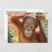 Baby Orangutan Foto (Donald) Postcard Postkarte (Vorne/Hinten)