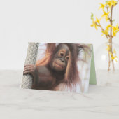 Baby Orangutan Grußkarte Karte (Gelbe Blume)