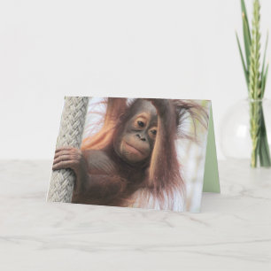 Baby Orangutan Grußkarte Karte
