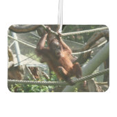 Baby Orangutan - Hang da drin Autolufterfrischer (Rückseite)