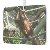 Baby Orangutan - Hang da drin Autolufterfrischer (Links)