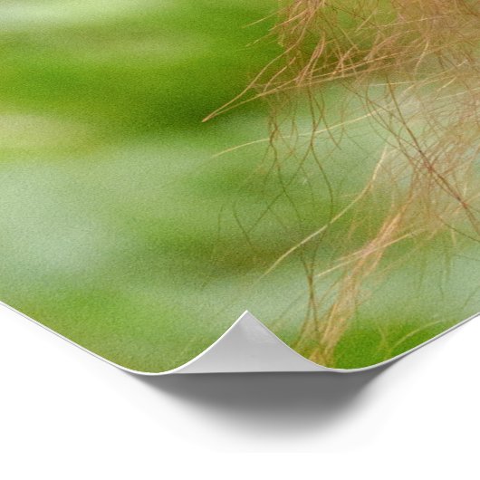 Baby Orangutan Joy Poster (Ecke)