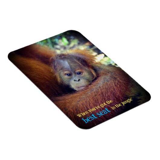 Baby Orangutan Magnet (Rechte Seite)