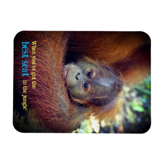 Baby Orangutan Magnet (Horizontal)