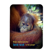 Baby Orangutan Magnet (Vertikal)