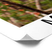 Baby Orangutan Mason Poster (Ecke)