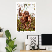 Baby Orangutan Mason Poster (Heimbüro)