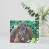 Baby Orangutan mit Mutter Postkarte (Stehend Vorderseite)