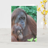 Baby Orangutan mit Muttergrüßkarte Karte (Gelbe Blume)