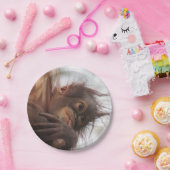 Baby Orangutan Paper Tellers Pappteller (Party)