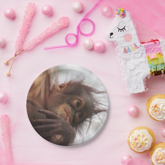 Baby Orangutan Paper Tellers Pappteller (Party)