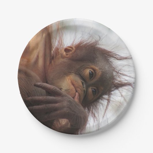 Baby Orangutan Paper Tellers Pappteller (Vorderseite)