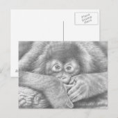 Baby Orangutan Postcard Postkarte (Vorne/Hinten)