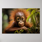 Baby Orangutan Poster (Vorne)