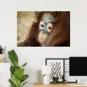 Baby Orangutan Poster (Heimbüro)