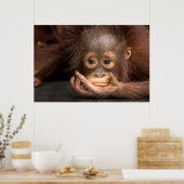 Baby Orangutan Reston On Hand Poster (Küche)