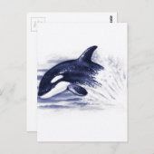 Baby Orca Jump Postkarte (Vorne/Hinten)