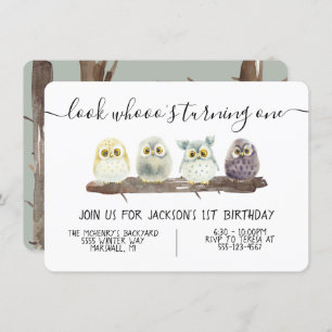 Baby Owl Birthday Party Einladung