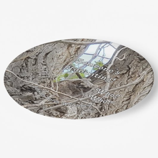 Baby Owl in Tree Jemand Schließe Wer, Pappteller (Schrägansicht)