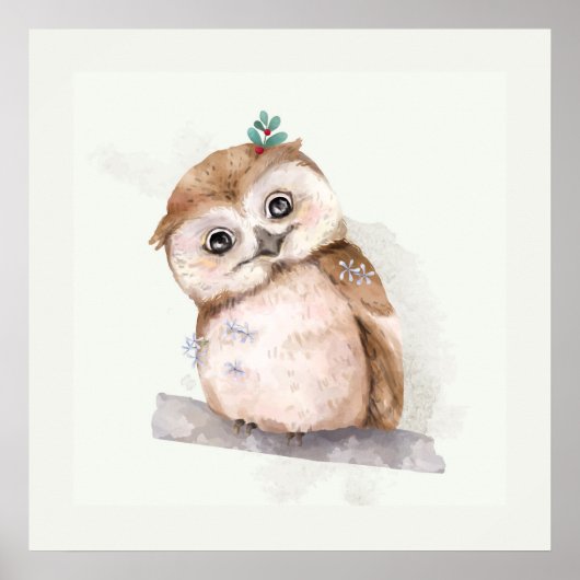 Baby Owl Poster (Vorne)