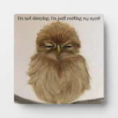 Baby Owl Sleeping Plaque Easel Fotoplatte (Vorderseite)