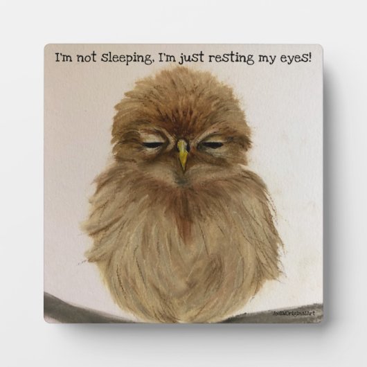 Baby Owl Sleeping Plaque Easel Fotoplatte (Vorderseite)
