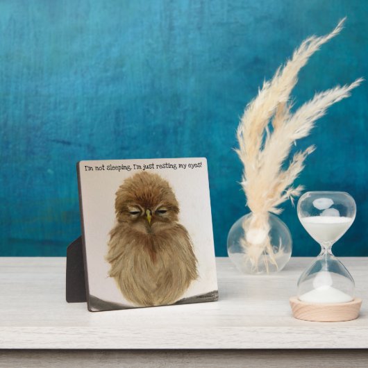 Baby Owl Sleeping Plaque Easel Fotoplatte (InSitu)