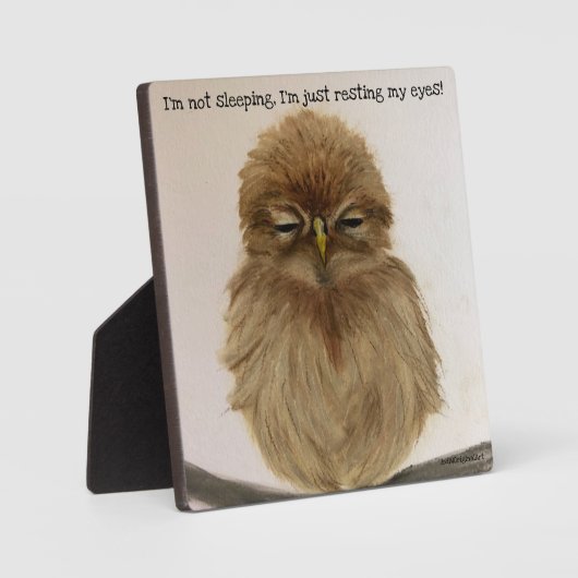 Baby Owl Sleeping Plaque Easel Fotoplatte (Vorderseite)