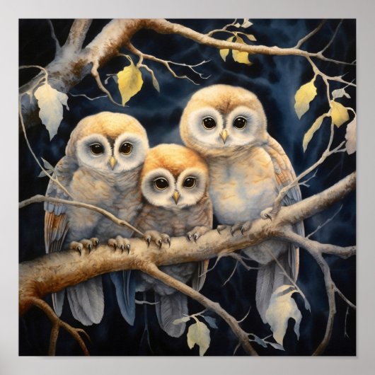 Baby Owls Art Print Poster (Vorne)