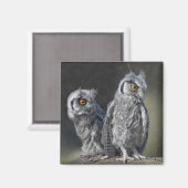Baby Owls Magnet (Vorderseite/Rückseite)