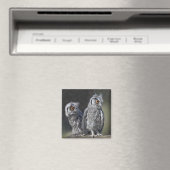 Baby Owls Magnet (In Situ (Geschirrspüler))