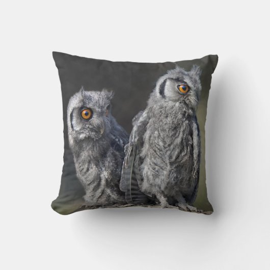 Baby Owls Pillow Kissen (Vorderseite)