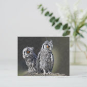 Baby Owls Postcard Postkarte (Stehend Vorderseite)