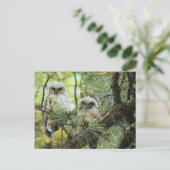 Baby Owls Postkarte (Stehend Vorderseite)
