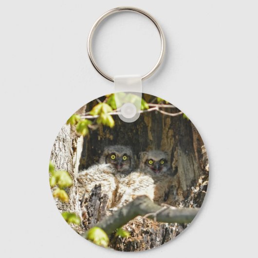 Baby Owls Schlüsselanhänger (Vorderseite)