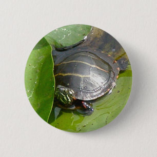 Baby Painted Turtle auf Lilypad Items Button