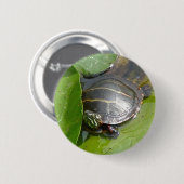Baby Painted Turtle auf Lilypad Items Button (Vorne & Hinten)