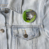Baby Painted Turtle auf Lilypad Items Button (Beispiel)