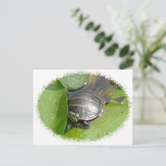 Baby Painted Turtle auf Lilypad Items Postkarte (Stehend Vorderseite)