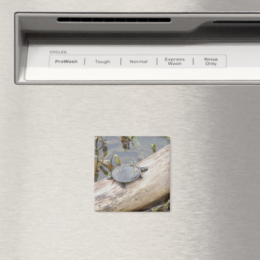 Baby Painted Turtle Magnet (In Situ (Geschirrspüler))