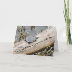 Baby Painted Turtle New Baby Boy Card Karte