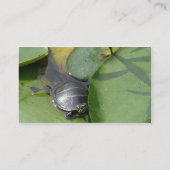 Baby Painted Turtle on Lilypad Business Card Visitenkarte (Rückseite)